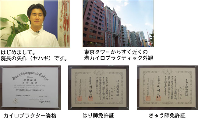 カイロプラクター、はり師、きゅう師